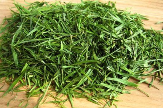 哪類人不適合喝石竹茶，石竹茶的功效與禁忌