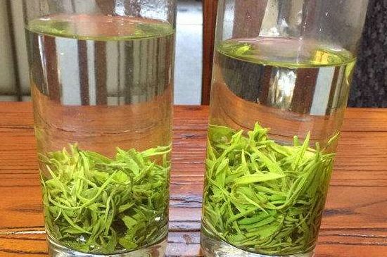 黃金茶的功效及禁忌癥，黃金茶有什么副作用嗎？