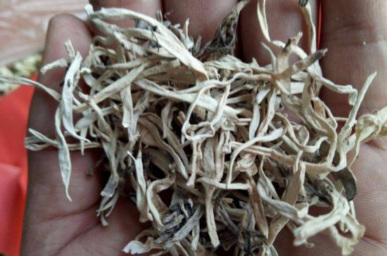 麗江雪茶的禁忌，白雪茶的副作用