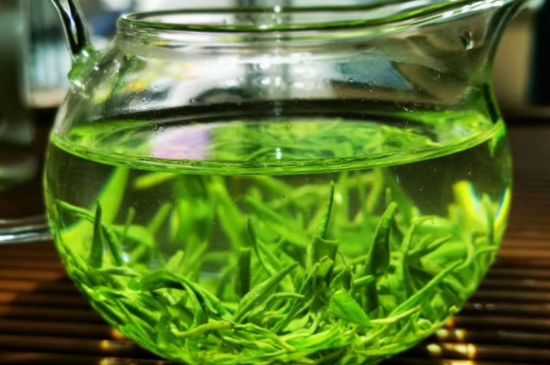 喝黃金茶禁忌，什么人不能喝黃金芽茶？