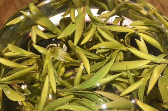 八大茶系都有哪幾種，八大茶系都是什么名字