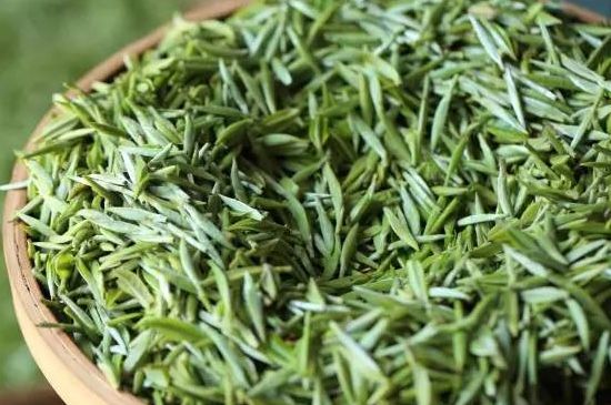 雀舌茶的沖泡方法，怎么沖泡雀舌茶？