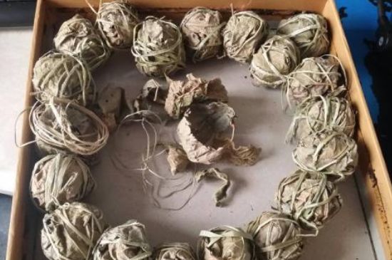 鷓鴣茶用拆開泡嗎，鷓鴣茶要解開繩子泡嗎