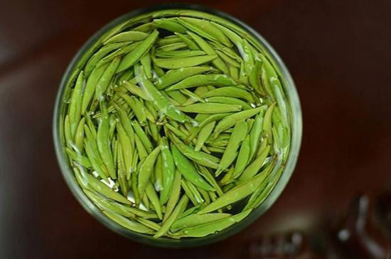 雀舌茶什么人不能喝，雀舌茶的功效與禁忌