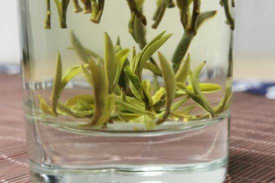 黃山毛峰怎么沖泡，黃山毛峰要多少溫度的水泡？