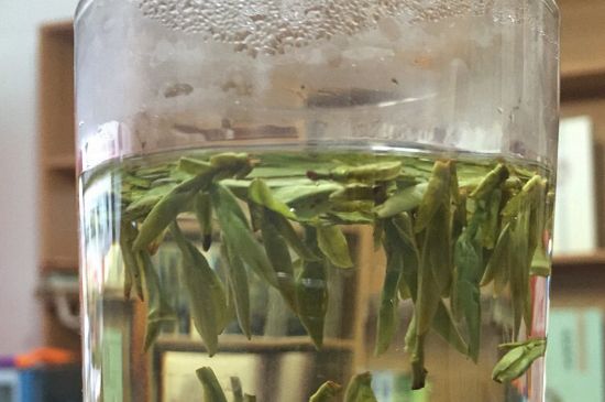 煮茶器能煮龍井嗎，龍井茶能不能用煮茶器圖