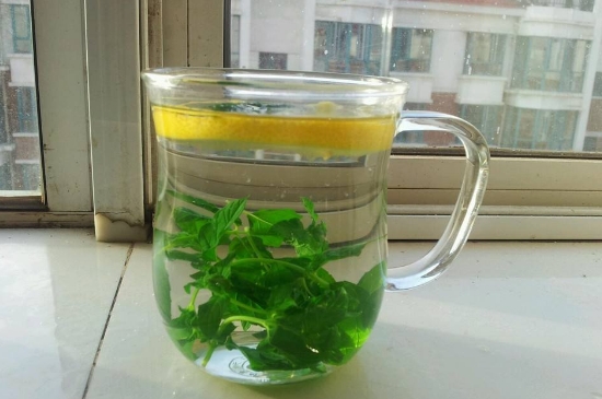 薄荷茶的功效與作用，喝薄荷茶有什么好處？