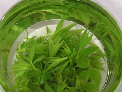 茶葉具有什么功效，茶葉的功效與作用大全