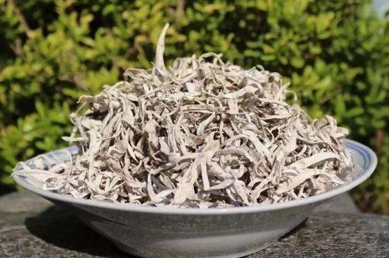 麗江雪茶的功效與作用，白雪茶有什么功效和作用