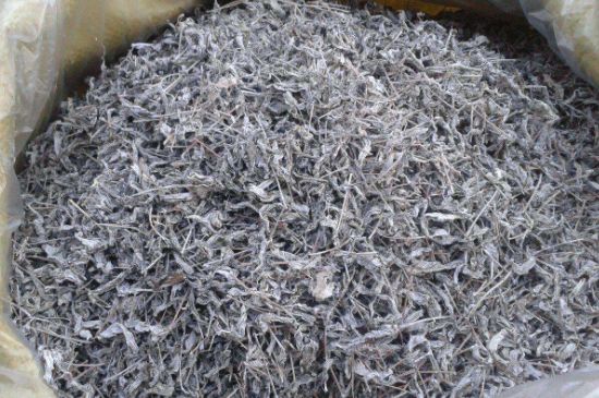 怎樣辨別莓茶發(fā)霉了，莓茶發(fā)霉和白霜的區(qū)別