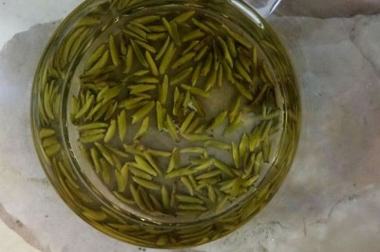 茶葉在哪里買比較好，哪里能買到好的茶葉