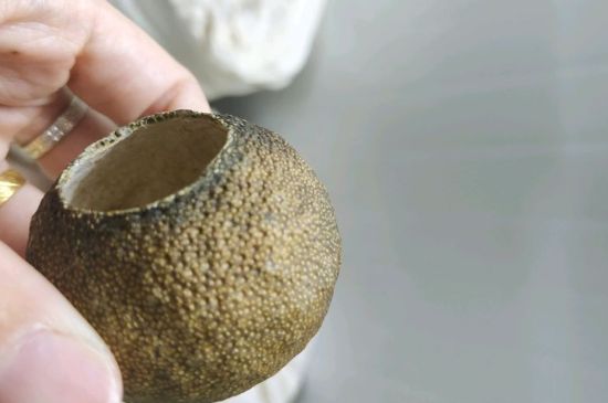 小青柑多少錢一盒，新會(huì)小青柑普茶價(jià)格一斤多少