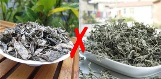 張家界茅巖莓茶與藤茶是同一種茶嗎，藤茶跟莓茶一不一樣？