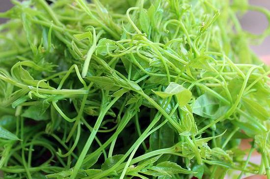 茅巖莓茶別名是什么，莓茶別名叫藤茶嗎？