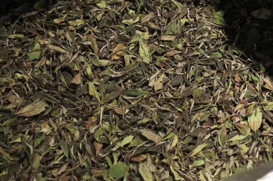 陳茶還是新茶好，茶葉是新茶好喝還是陳茶好喝