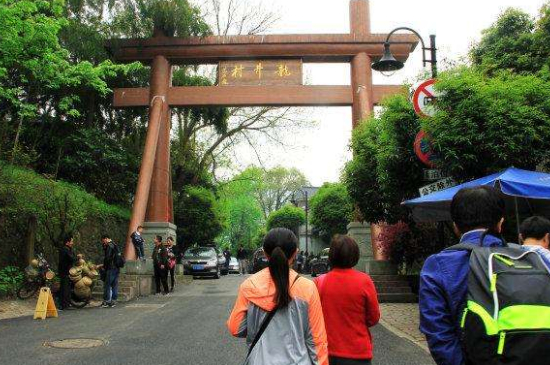 杭州買龍井茶攻略，怎么買到正宗的西湖龍井？