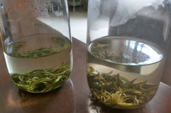 真假碧螺春泡水后區(qū)別，蘇州洞庭碧螺春怎樣鑒別好壞？