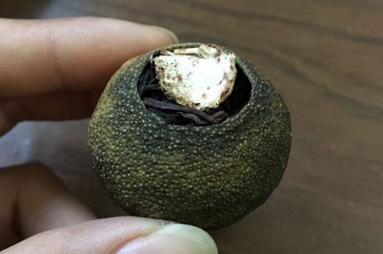 怎么知道小青柑是真的假的圖片，如何區(qū)分真假新會(huì)小青柑