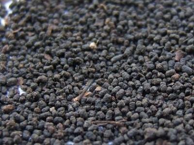 圓形顆粒狀茶是什么茶，像飼料一樣一粒粒的是什么茶？