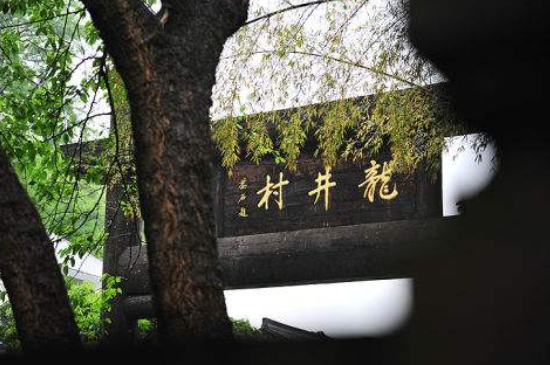 杭州買龍井茶攻略，怎么買到正宗的西湖龍井？