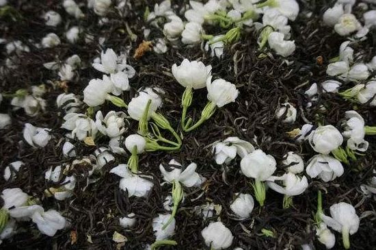 茉莉龍珠怎么做的，茉莉龍珠的制作工藝