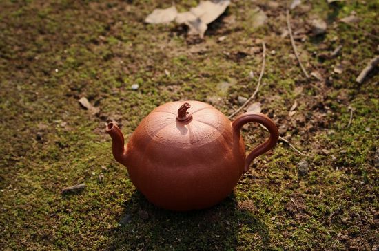 紫砂壺泡什么茶最佳，紫砂壺一般泡什么茶？