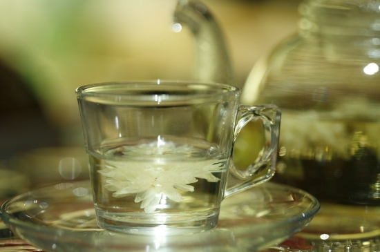 菊花茶天天喝行嗎，每天喝菊花泡茶喝好嗎？