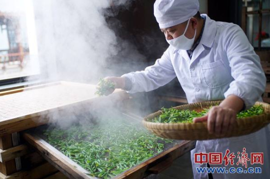 炒青綠茶與綠茶的區(qū)別，烘青和炒青哪個好喝？