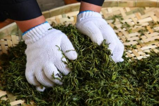 綠茶加工工藝流程圖，綠茶的加工制作包含哪幾個(gè)步驟？