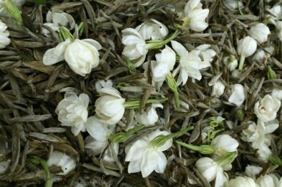 茉莉銀針口感，茉莉銀針是什么味道？