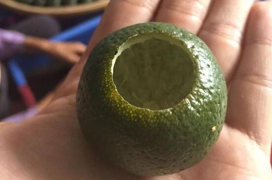 家庭自制柑普茶方法，小青柑制作9個(gè)步驟竅門（圖片）