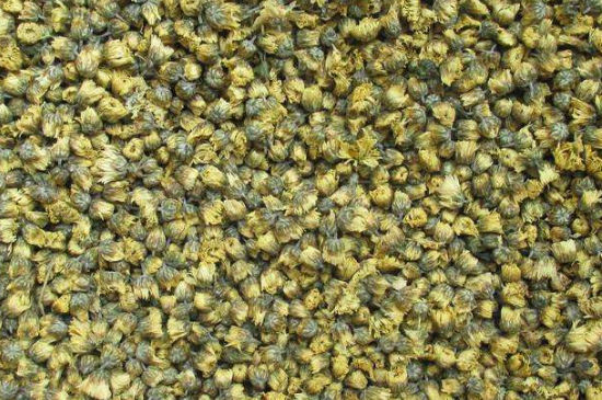 菊花茶大朵小朵有什么區(qū)別，菊花喝大朵還是小朵？