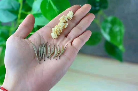 茉莉銀針口感，茉莉銀針是什么味道？