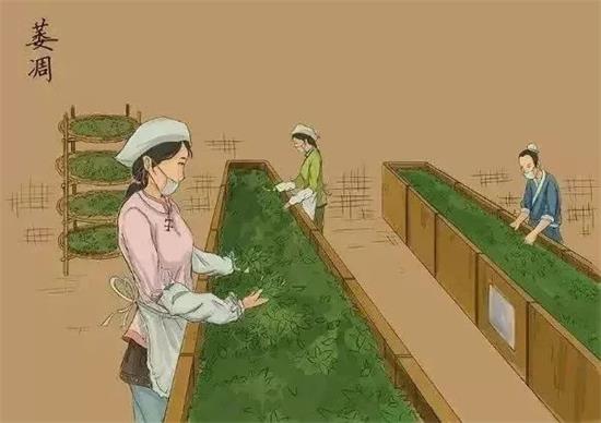 制茶八步驟，制茶工藝流程圖