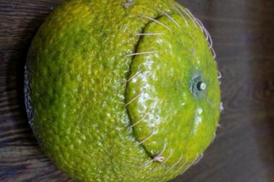 家庭自制柑普茶方法，小青柑制作9個(gè)步驟竅門（圖片）