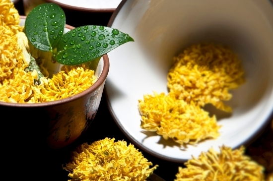 孕婦可以喝菊花茶嗎，菊花對胎兒有致畸作用？