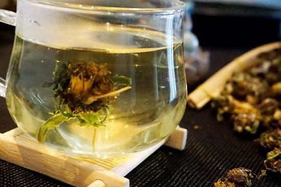 蒲公英最佳搭配，蒲公英茶和什么搭配泡水最佳