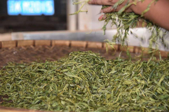 炒青綠茶與綠茶的區(qū)別，烘青和炒青哪個好喝？