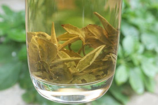 茉莉龍珠泡開后為什么都是梗，茉莉龍珠泡開后什么樣？