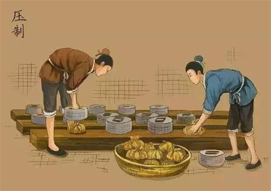 制茶八步驟，制茶工藝流程圖