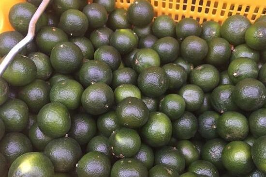 家庭自制柑普茶方法，小青柑制作9個(gè)步驟竅門（圖片）