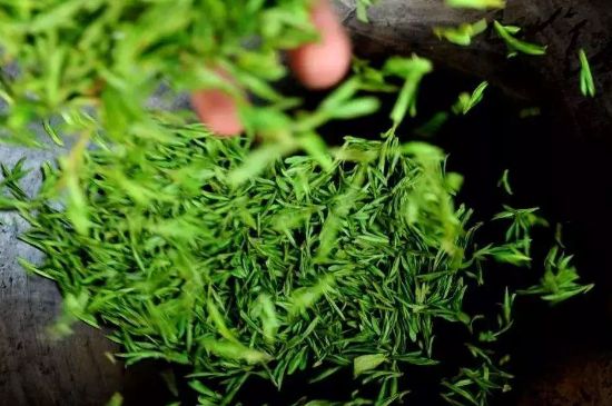龍井茶炒茶葉怎么炒出好茶色，茶葉怎樣做出來最綠？