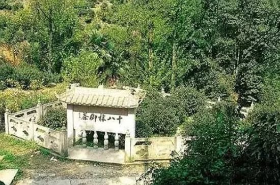 母樹大紅袍給誰喝了，為什么母樹大紅袍叫三棵六株？