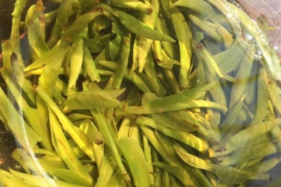 龍井是明前的好還是雨前的好，明前茶和雨前茶哪個好喝？