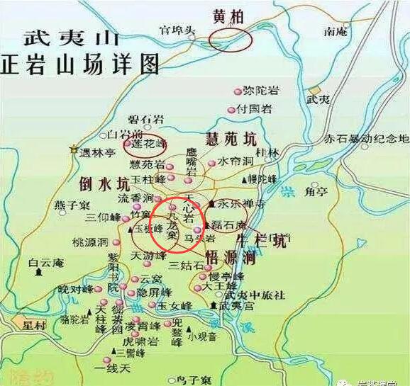 母樹大紅袍給誰喝了，為什么母樹大紅袍叫三棵六株？