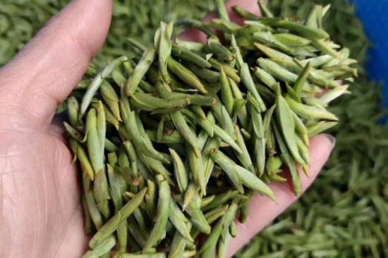 龍井茶好壞的鑒別圖片，如何區(qū)別龍井茶的好壞？