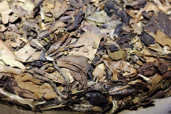 煮茶的步驟圖解，正確的煮白茶方法！