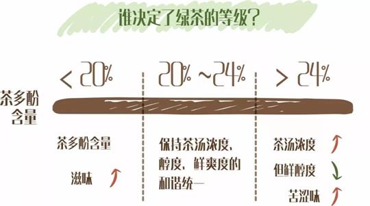 什么綠茶口味重口感濃郁，口味比較重的綠茶都有那些？