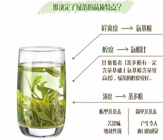 什么綠茶口味重口感濃郁，口味比較重的綠茶都有那些？