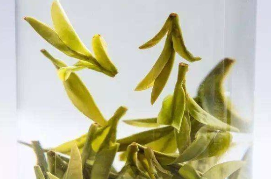 烏牛早和龍井的區(qū)別圖片，龍井43號(hào)和烏牛早茶的對(duì)比